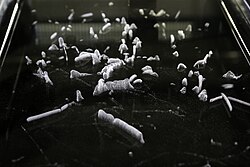 霧箱では液体が放射粒子に接触すると凝縮して飛行機雲と同様の効果を生じさせる