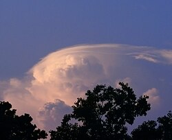 雲頂のベール雲