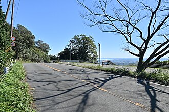フルーツライン