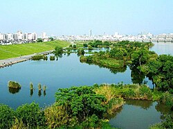 ワンド(河川地形)の概要と生態学的意義