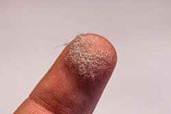 埃(ほこり)の科学的性質と室内環境への影響