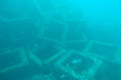 人工魚礁の概要と役割