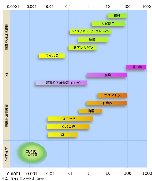 胞子:生物の繁殖と分散を担う生殖細胞