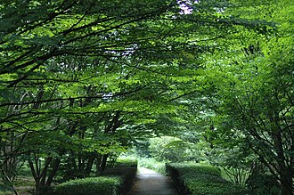 北の丸公園:歴史と概要