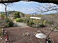 植木まつりの様子