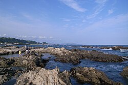 岩礁の地理学的・生態学的特性