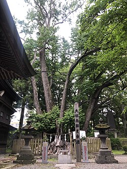 大塔宮護良親王桂之古跡