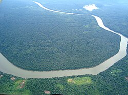 アマゾンの一部分の空撮