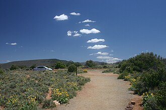 空に列をなして現れた放射状積雲