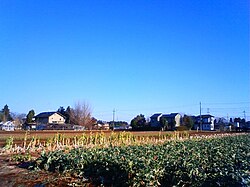 稲荷原 (つくば市)