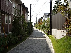 整備された遊歩道