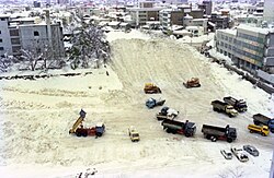 お堀の除雪作業
