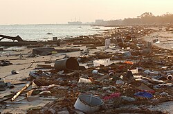 ハリケーン・カトリーナによる漂流・漂着ごみ