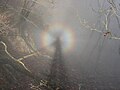 丹沢山地で撮影されたブロッケン現象