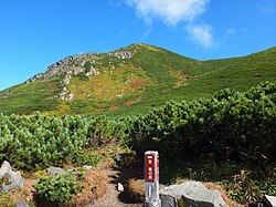 羅臼平から望む羅臼岳