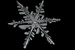 天然の雪片の形状と六方の特徴
