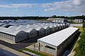 沖縄県立農業大学校(宜野座村)のプラスチックハウス