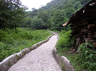 森林公園の概要と特徴