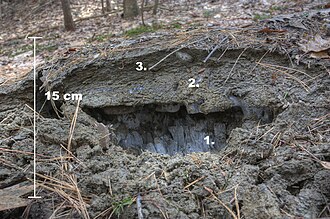 凍上現象のメカニズムと地盤への影響