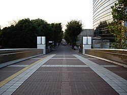 つくば公園通り（吾妻二丁目）
