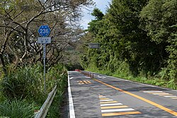 表筑波スカイライン区間の路面
