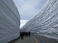 立山黒部アルペンルートの山岳景観