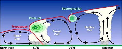 寒帯および亜熱帯ジェット気流の断面図