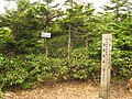 眺望のきかない山頂