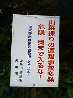 新潟県糸魚川市にて撮影された山菜の様子
