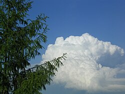入道雲