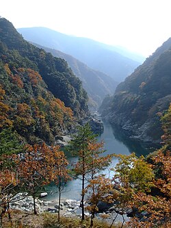 徳島県を流れる吉野川の小歩危峡