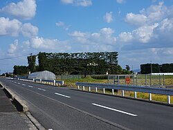 出雲平野の築地松(2025年)