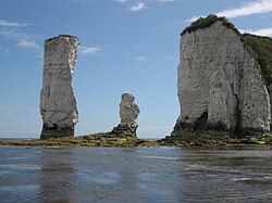 オールド・ハリー・ロックスの景観