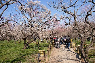 水戸市の概要と歴史