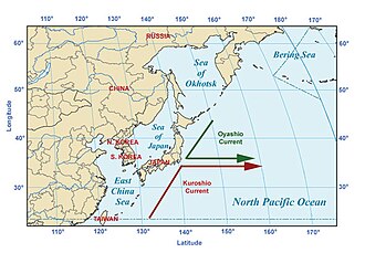 千島列島から日本東方へ流れる寒流「親潮」の生態と特徴