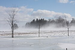 晴天下の低い地吹雪