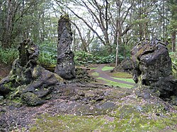 熔岩樹型（ハワイ島）