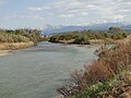 河口付近から上流方向を望む