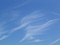 片側だけの肋骨雲