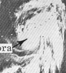 第2宮古島台風（1966年）