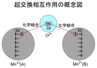 超交換相互作用の概念図 酸化マンガン(MnO)の例
