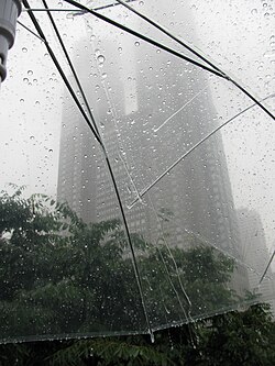 梅雨:東アジアの気象現象と季節的特徴
