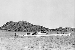 瀬戸内海で撮影されたイタリア海軍のコマンダンテ・カッペリーニ
