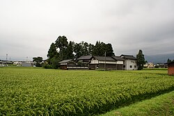 防風林の様子