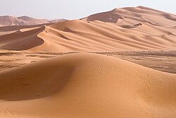 砂漠の地理学と生態系