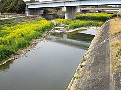 善通寺IC付近。春には菜の花が沢山咲く。