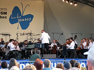野外のコンサートでの演奏風景
