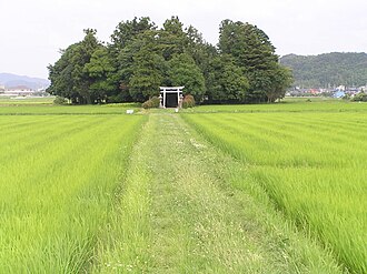 鎮守の森:日本の神社と自然信仰の歴史的・生態学的意義