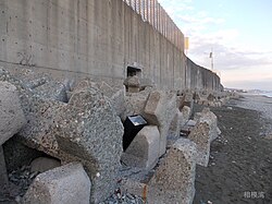 海岸に不法投棄されたプラスチックの衣装ケース