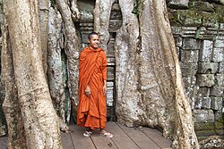 比丘の歴史と修行生活:仏教における出家男性修行者